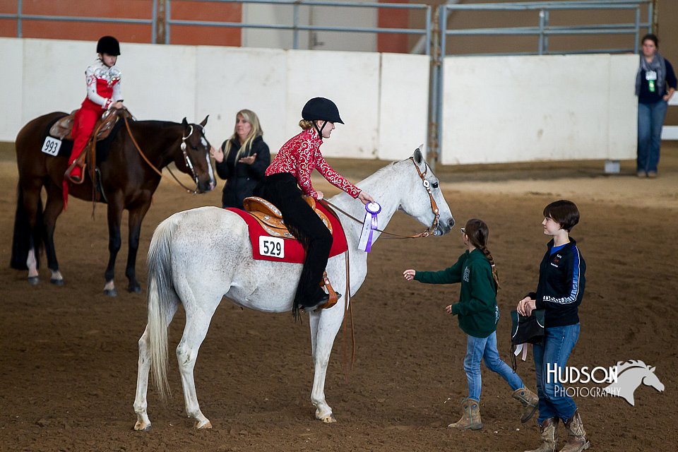 4H-State-2015-0253.jpg