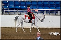 4H-State-2015-0237.jpg