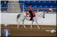 4H-State-2015-0238.jpg