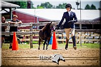 4H-1st-061916-0669.jpg