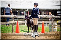 4H-1st-061916-0673.jpg