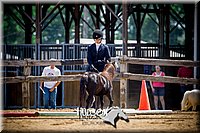 4H-1st-061916-0676.jpg