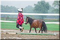 4H-3rd--073016-1760.jpg