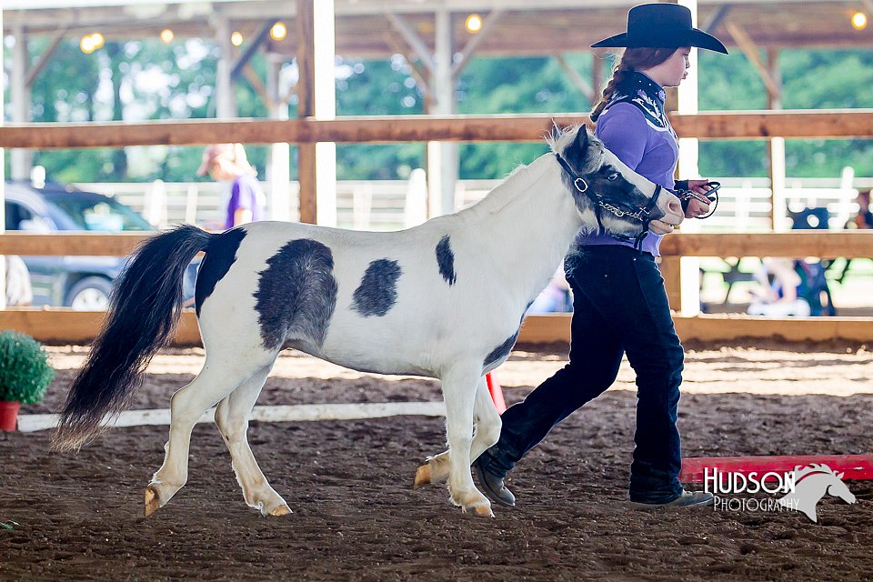 4H-District-16-0558.jpg