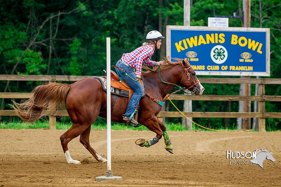 4H-District-Games-082816-0223.jpg