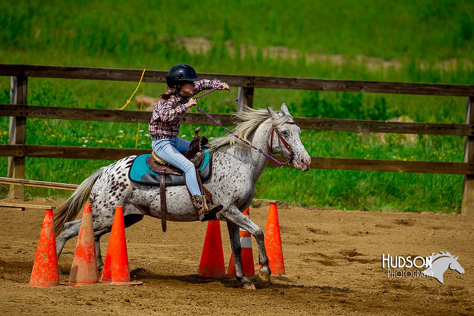 4H-District-Games-082816-0291.jpg