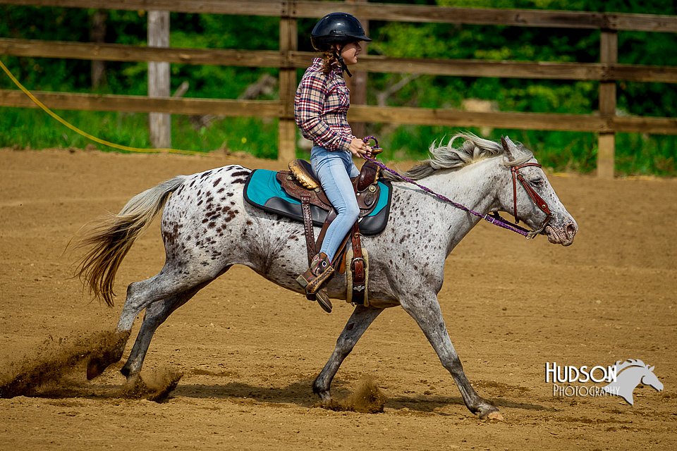 4H-District-Games-082816-0299.jpg