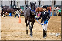 4H-FUN-060416-0105.jpg