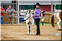 4H-FUN-060416-0181.jpg