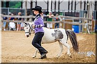 4H-FUN-060416-0189.jpg