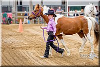 4H-FUN-060416-0197.jpg