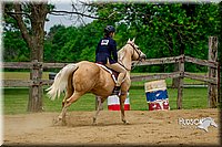 4H-FUN-060416-0776.jpg