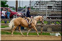 4H-FUN-060416-0780.jpg