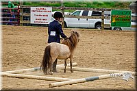 4H-FUN-060416-0872.jpg