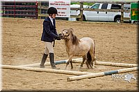 4H-FUN-060416-0873.jpg