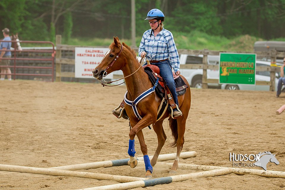 4H-FUN-060416-1024.jpg