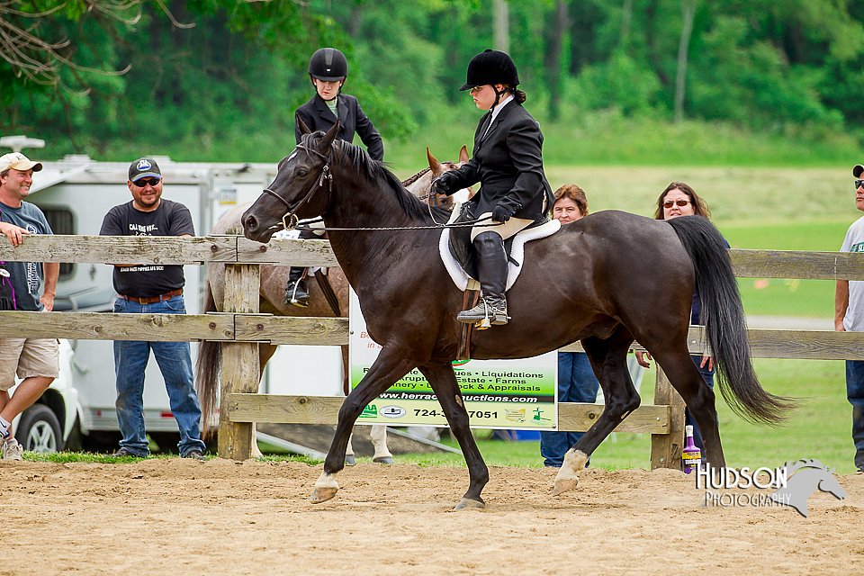 4H-FUN-060416-1043.jpg