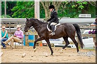 4H-FUN-060416-1044.jpg