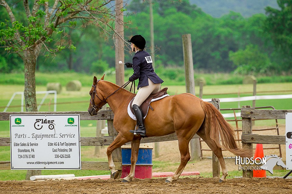 4H-FUN-060416-1344.jpg