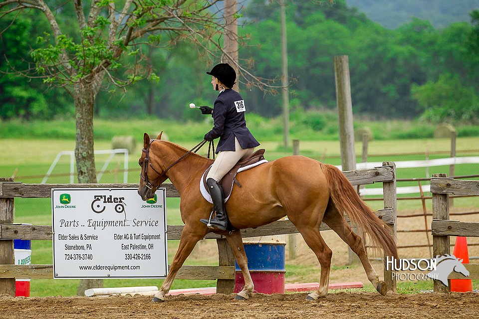 4H-FUN-060416-1345.jpg