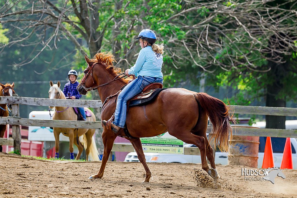 LCFair2016-5853.jpg