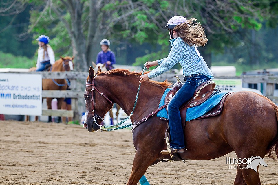 LCFair2016-5883.jpg