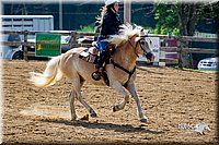 LCFair2016-5990.jpg