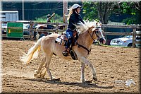 LCFair2016-5991.jpg