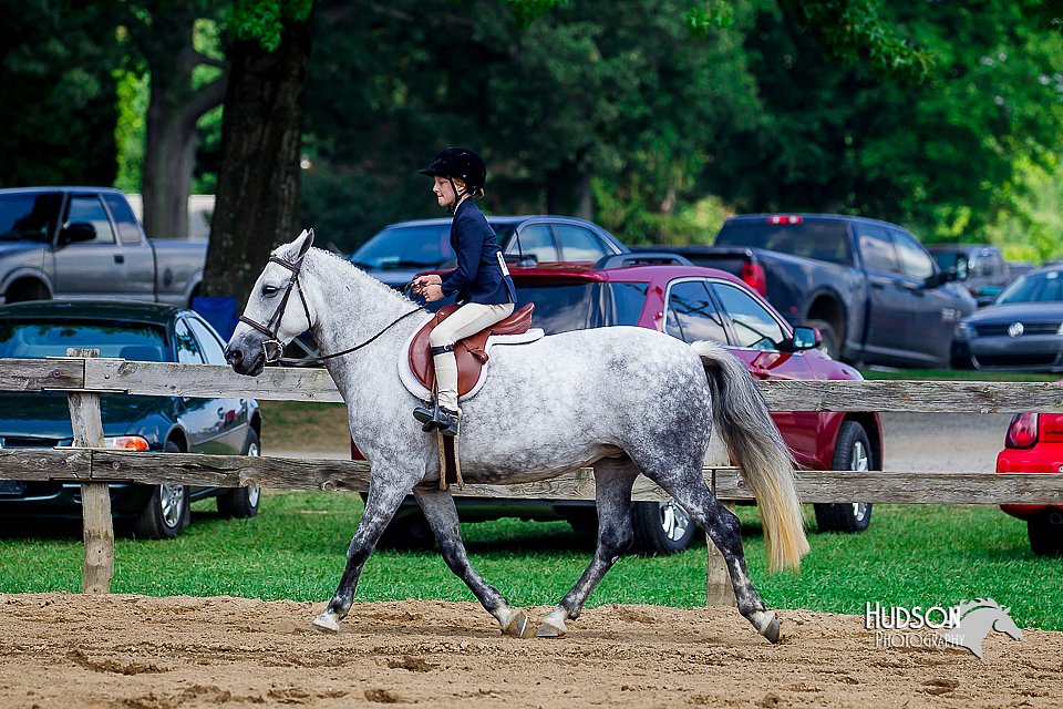 LCFair2016-6038.jpg