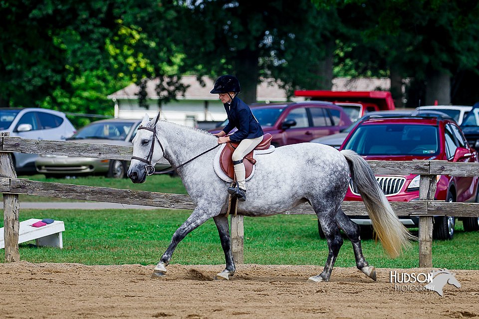 LCFair2016-6039.jpg