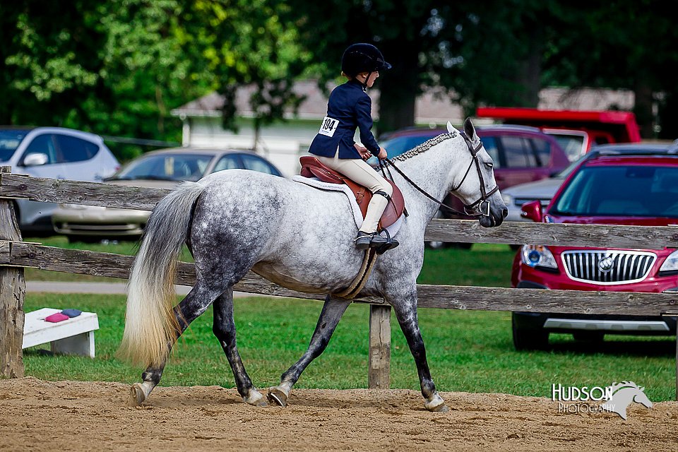 LCFair2016-6043.jpg