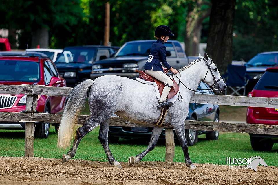 LCFair2016-6044.jpg