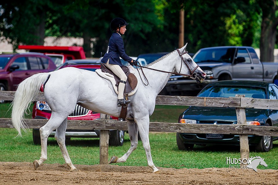 LCFair2016-6046.jpg