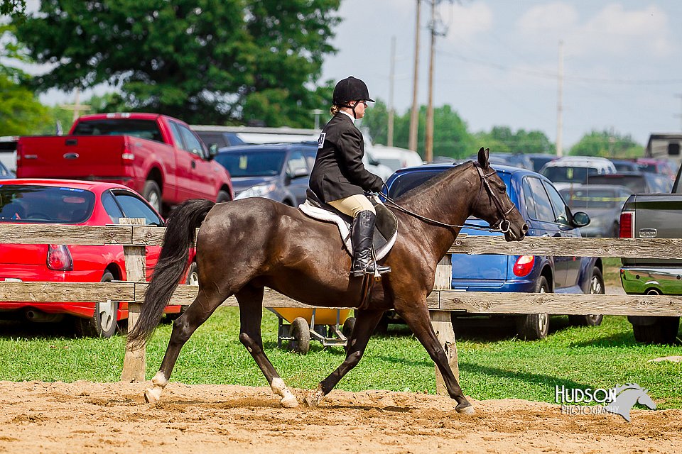 LCFair2016-6061.jpg