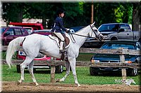 LCFair2016-6046.jpg