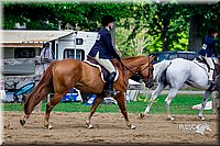 LCFair2016-6054.jpg