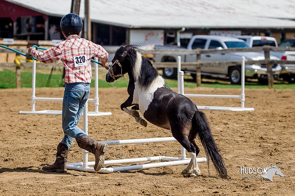 LCFair2016-6082.jpg