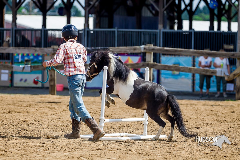 LCFair2016-6085.jpg