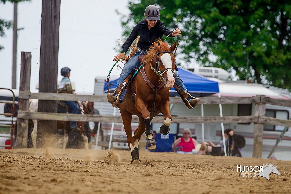 LCFair2016-6304.jpg