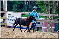 LCFair2016-6415.jpg