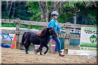 LCFair2016-6416.jpg