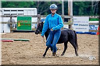 LCFair2016-6425.jpg