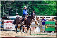 LCFair2016-6543.jpg