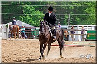 LCFair2016-6601.jpg