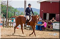 LCFair2016-6617.jpg