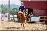 LCFair2016-6618.jpg