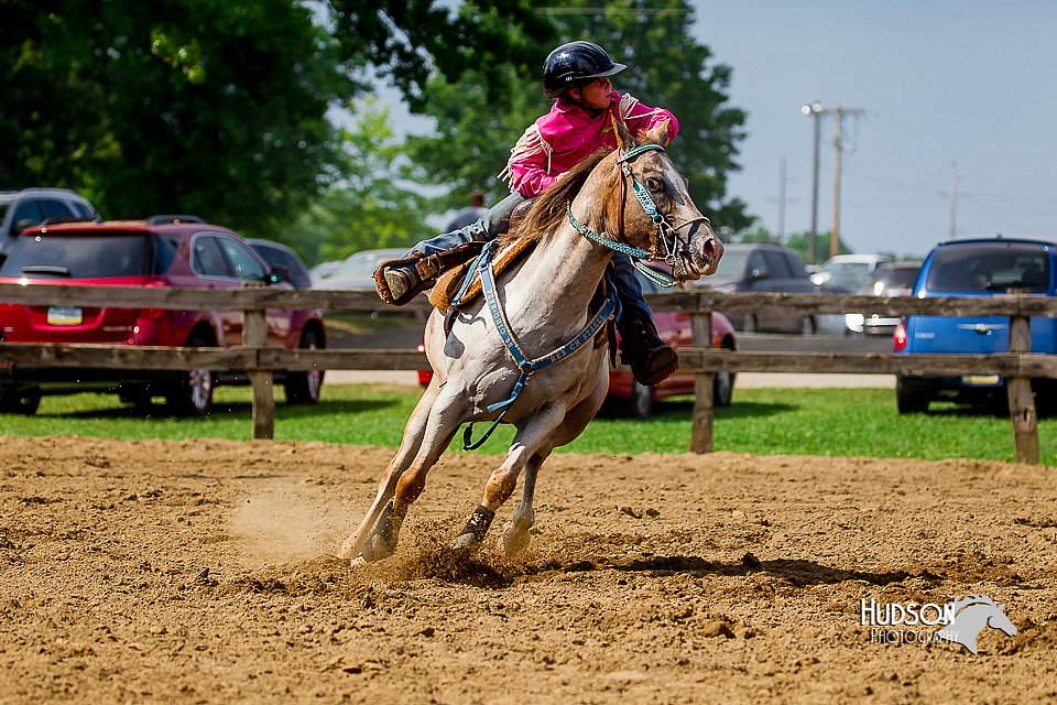 LCFair2016-6750.jpg