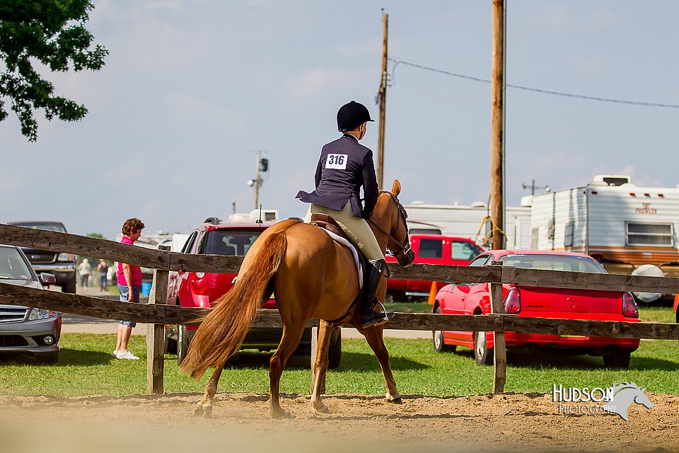 LCFair2016-6810.jpg