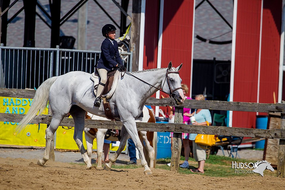 LCFair2016-6830.jpg