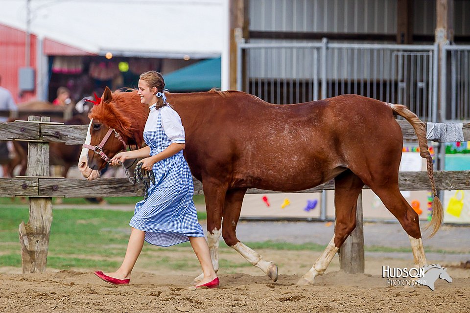 LCFair2016-7051.jpg